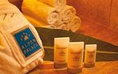 Туры в отель Alpenpalace Deluxe Hotel & Spa Resort
