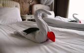 Туры в отель Urkmez Hotel