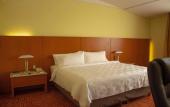 Туры в отель Holiday Inn Puebla Finsa by IHG