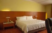 Туры в отель Holiday Inn Puebla Finsa by IHG