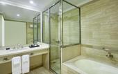 Туры в отель Intercontinental Buenos Aires by IHG