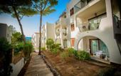 Туры в отель Flipflop Surfing Playa Apartments