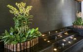 Туры в отель Orchid Country Club