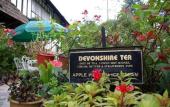 Туры в отель Smokehouse Hotel Cameron Highlands