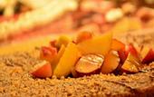 Туры в отель Djerba Sun Beach Hotel and Spa