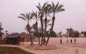Туры в отель Djerba Sun Beach Hotel and Spa