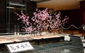 Туры в отель The Strings by InterContinental Tokyo by IHG