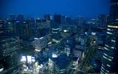 Туры в отель The Strings by InterContinental Tokyo by IHG