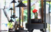 Туры в отель Paragon Inn