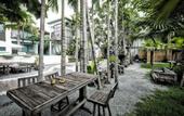 Туры в отель Paragon Inn