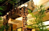 Туры в отель Nicha Hua Hin Hotel