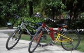 Туры в отель Kaengkrachan Boathouse Paradise Resort