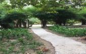 Туры в отель Kaengkrachan Boathouse Paradise Resort
