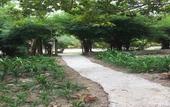 Туры в отель Kaengkrachan Boathouse Paradise Resort