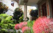 Туры в отель Rambutan Boutique Hotel & Spa