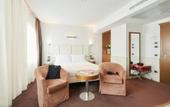 Туры в отель Hotel Plaza Venice