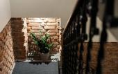 Туры в отель Villino Milano