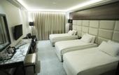Туры в отель Dedeman Sanliurfa