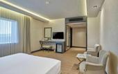 Туры в отель Dedeman Sanliurfa