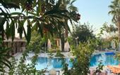 Туры в отель Olympos Hotel - Adults Only