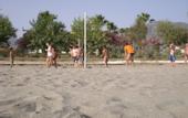 Туры в отель Sunshine Hotel