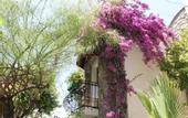 Туры в отель Bella Garden Hotel