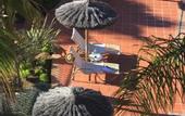 Туры в отель Vasari Resort