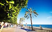Туры в отель Obal Hotel Marbella