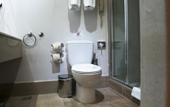 Туры в отель Capsis Bristol Boutique Hotel