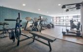 Туры в отель Hotel ILUNION Calas De Conil