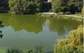 Туры в отель Ringhotel Seehof Berlin