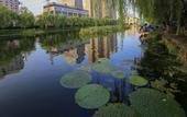 Туры в отель The Kunlun Beijing