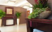 Туры в отель Hotel Prestige