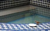 Туры в отель Riad Lauriers Blancs