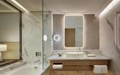Туры в отель Lotte Hotel World