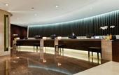 Туры в отель Lotte Hotel World