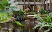 Туры в отель Siam Bayshore Pattaya