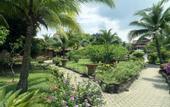 Туры в отель Holiday Villa Beach Resort & Spa Cherating