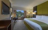 Туры в отель Holiday Inn Singapore Orchard City Centre by IHG