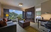 Туры в отель Holiday Inn Singapore Orchard City Centre by IHG