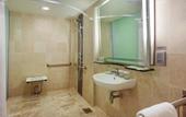 Туры в отель Holiday Inn Singapore Orchard City Centre by IHG