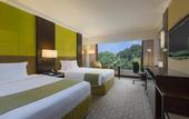 Туры в отель Holiday Inn Singapore Orchard City Centre by IHG