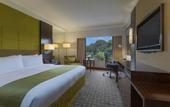 Туры в отель Holiday Inn Singapore Orchard City Centre by IHG