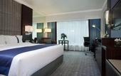 Туры в отель Holiday Inn Singapore Orchard City Centre by IHG