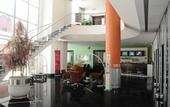 Туры в отель Mercure Manaus Hotel