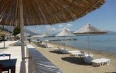 Туры в отель Brown Beach Evia Island, a member of Brown Hotels