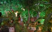 Туры в отель Hotel Istankoy