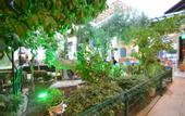 Туры в отель Hotel Istankoy