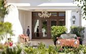 Туры в отель Cameo Beverly Hills