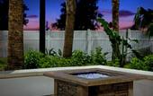 Туры в отель Four Points by Sheraton Orlando International Drive